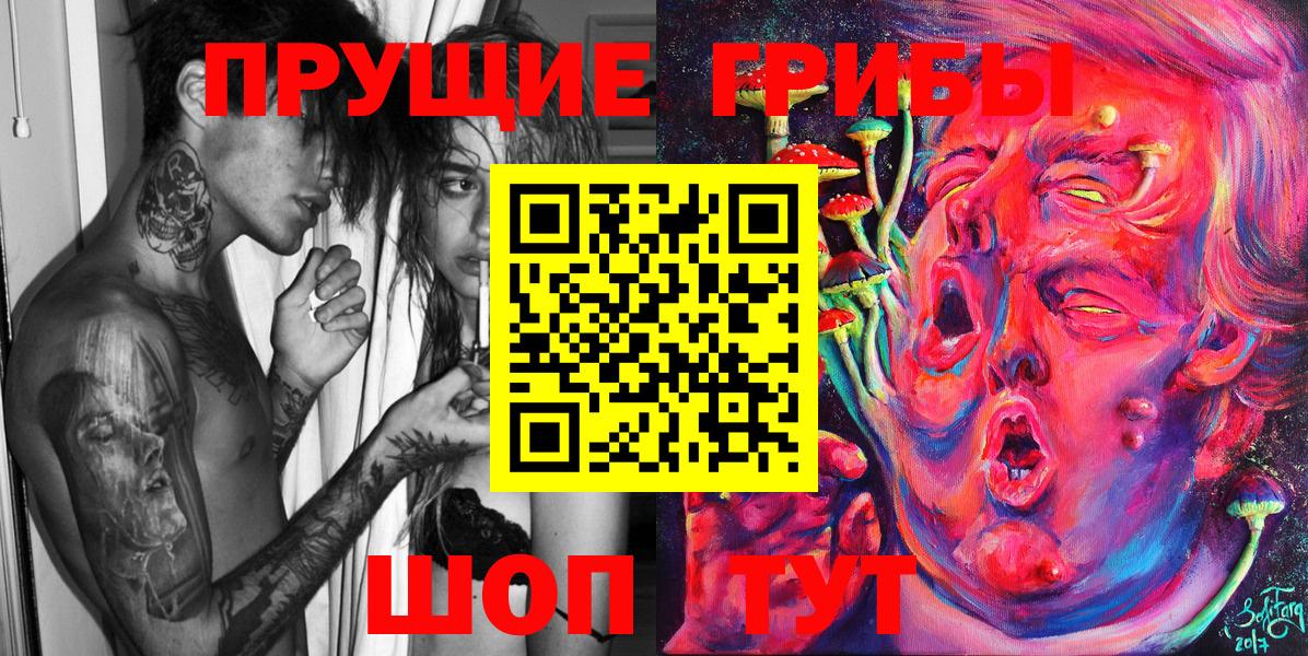 Галлюциногенные грибы GOLDEN TEACHER  Вход с VPN  Хасавюрт 